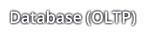 Database (OLTP) Database (OLTP)