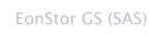 EonStor GS (SAS)