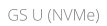 GS U (NVMe)