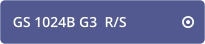 GS 1024B G3  R/S   